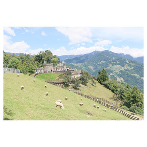 春谷美雨无码播放在线观看
